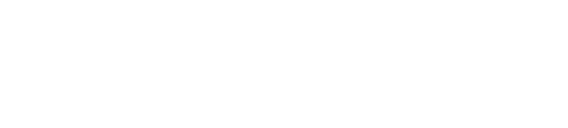 VerityX Logo